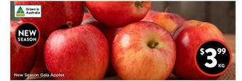 Foodworks New Season Gala Apples offer