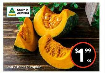 Foodworks Jap Kent Pumpkin offer