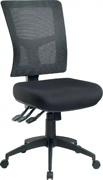 Officeworks Pago Professional Enduro Ergonomic Heavy-Duty Chair offer