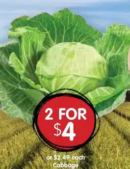 Spudshed Cabbage offer