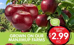 Spudshed Cripps Gem Apples offer