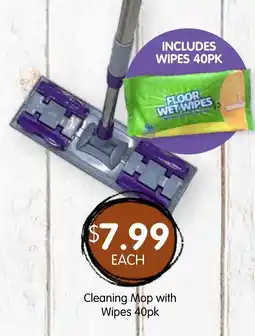 Spudshed Cleaning Mop with Wipes 40pk offer
