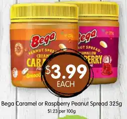 Spudshed Bega Peanut Spread offer