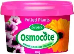 BIG W Scotts Osmocote Pott 500g offer