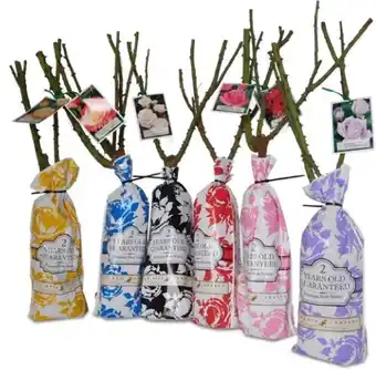 BIG W Greenlife 2 Year Old Classic Rose offer
