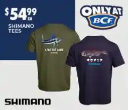 BCF Shimano Tees offer