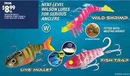 BCF Wilson Wild Shrimp, Fish Trap & Live Mullet Lures offer