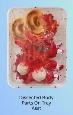 Choice The Discount Store Dissected Body Parts On Tray Asst offer