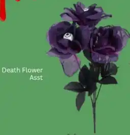 Choice The Discount Store Death Flower Asst offer