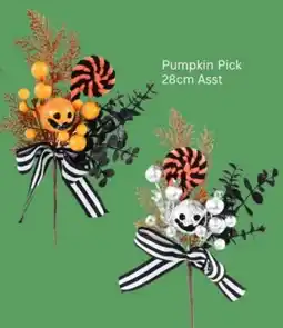 Choice The Discount Store Pumpkin Pick 28cm offer