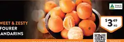Foodworks Fourer Mandarins offer