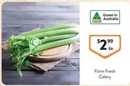 Foodworks Farm Fresh Celery offer