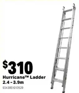 Mitre 10 Hurricane™ Ladder offer
