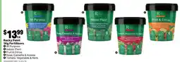 Mitre 10 Rocky Point 1Kg Fertilisers offer