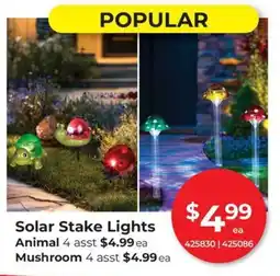 Red Dot Popular Solar Stake Lights offer