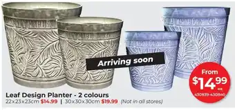 Leaf Design Planter - 2 colours