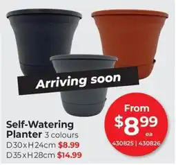 Red Dot Self-Watering Planter offer