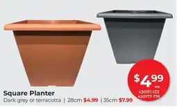 Red Dot Square Planter offer
