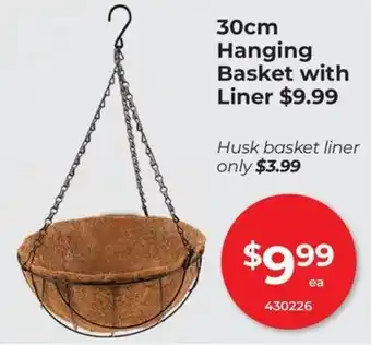 Hanging Basket with Liner