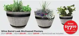Red Dot Wine Barrel Look Birchwood Planters offer