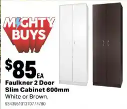 Mitre 10 Faulkner 2 Door Slim Cabinet offer