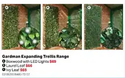 Mitre 10 Gardman Expanding Trellis Range Boxwood with LED Lights offer