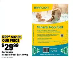 Mitre 10 Baracuda Mineral Pool Salt offer