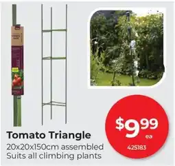 Red Dot Tomato Triangle offer