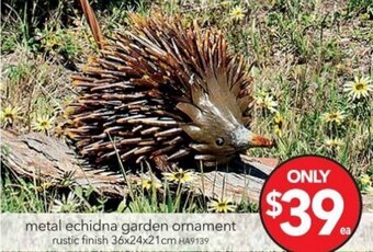 Cheap as Chips Metal Echidna Garden Ornament offer