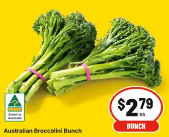 Australian Broccolini Bunch