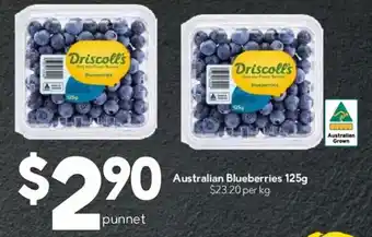 Driscoll's Blueberries
