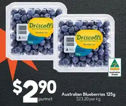 Drakes Driscoll's Blueberries offer