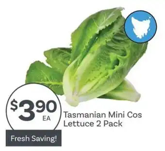 Tasmanian Mini Cos Lettuce