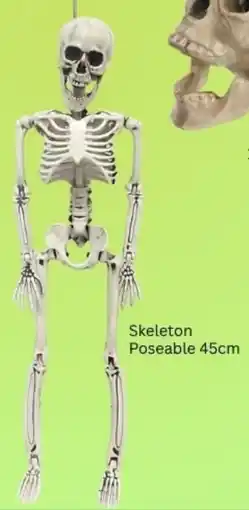 Choice The Discount Store Skeleton Poseable 45cm offer