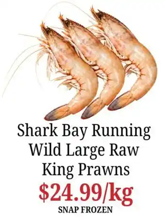 Shark Bay Running Wild Large Raw King Prawns