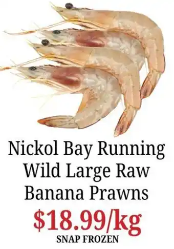 Nickol Bay Running Wild Large Raw Banana Prawns