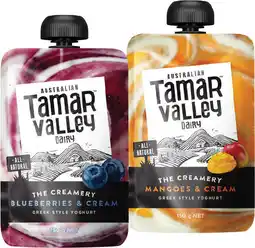 IGA Tamar Valley Greek Style Yoghurt Pouch Selected Varieties offer