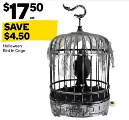 Woolworths Halloween Bird In Cage offer