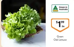 Foodworks Green Oak Lettuce offer
