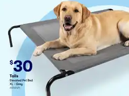 Woolworths Tails Elevated Pet Bed offer