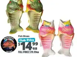 Anaconda Fish Shoes offer