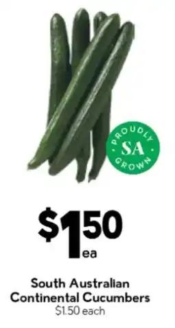 Drakes South Australian Continental Cucumbers offer