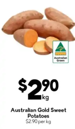 Drakes Australian Gold Sweet Potatoes offer
