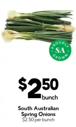 Drakes South Australian Spring Onions offer