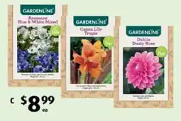 ALDI Gardenline Anemone Blue & White Mixed offer