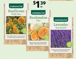 ALDI Gardenline Sunflower Teddy Bear offer