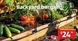 ALDI Backyard bargains offer