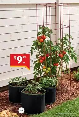 ALDI Vegetable Grow Tower offer
