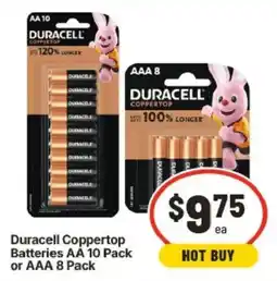 IGA Duracell Coppertop Batteries offer