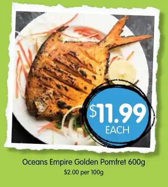 Oceans Empire Golden Pomfret